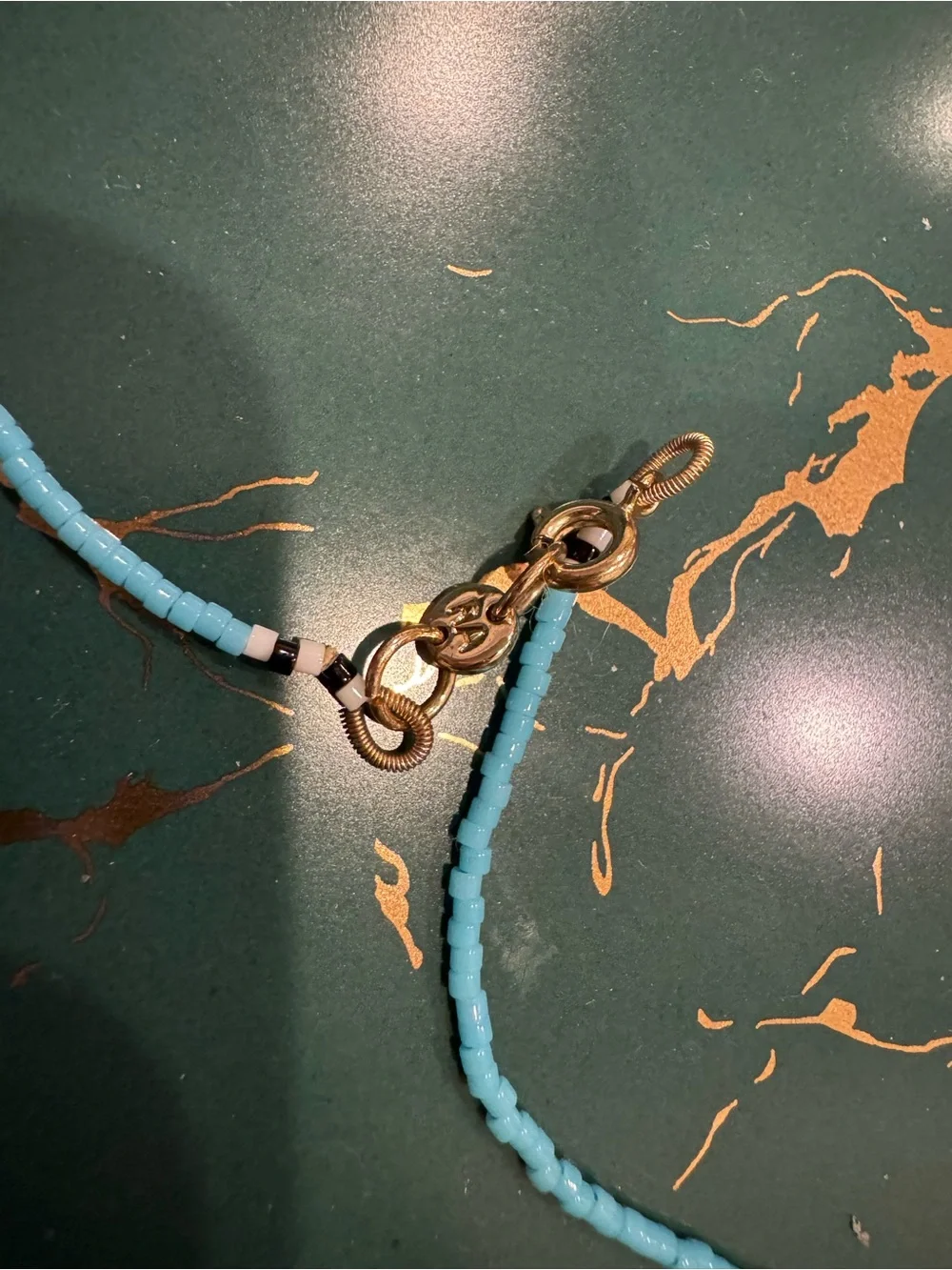 Roxanne Assoulin Turquoise Blue Seed Bead Necklace